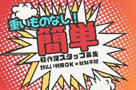 駅スグ＊単純作業/樹脂製のシートの目視チェック/未経験OK/＊男性活躍中 イメージ1