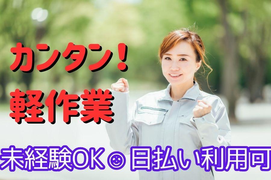 ＜日勤＞かんたん軽作業＊歯科器材の包装＊年間休日125日＊男女活躍中 イメージ2