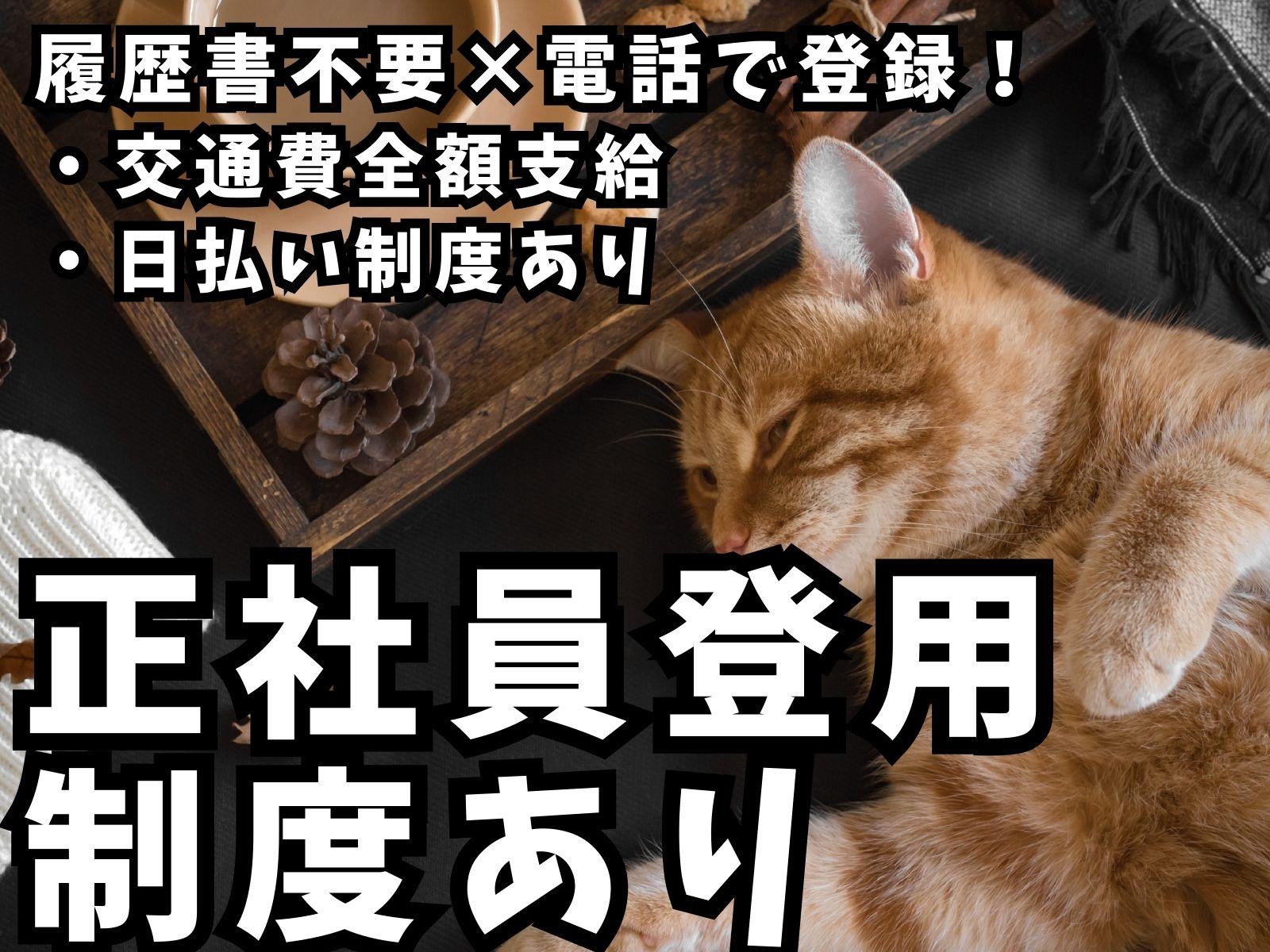 ≪正社員登用チャンス大≫カンタン機械オペレーター＊未経験OK！＊男性活躍中！ イメージ1