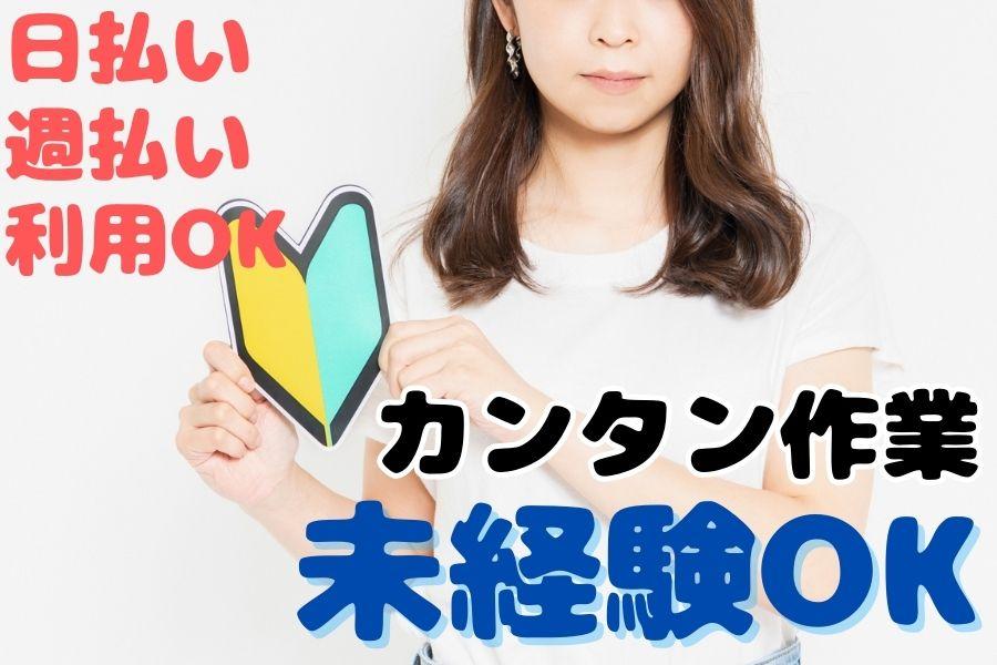 医療機器メーカーで軽作業＊土日祝休み＊残業少なめ＊女性活躍中＊駅から送迎バスあり イメージ2