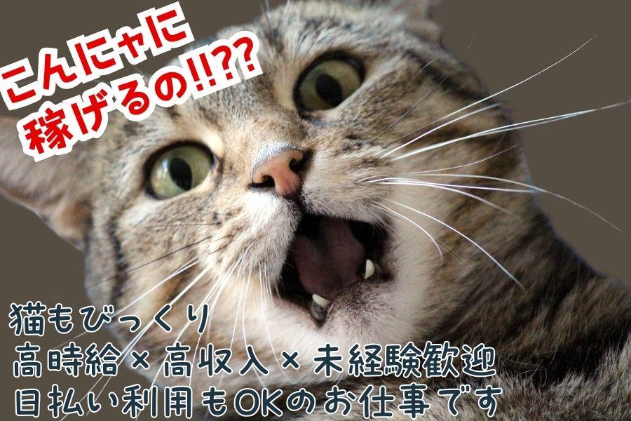 姫路市／最大時給2063円／線路用レール製造／モクモク作業／土日祝休み イメージ1