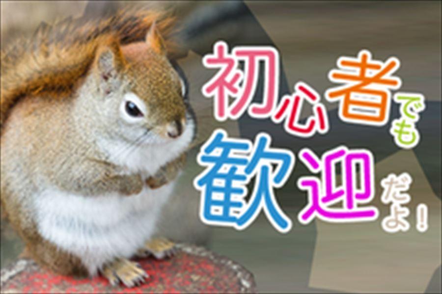 検査作業　コンセント部品　日勤のみ　土日休 イメージ2