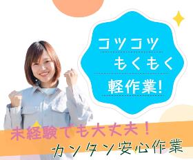 【座り作業でのカンタン目視検査】ボールペンサイズだから女性の方も安心して働けます イメージ1